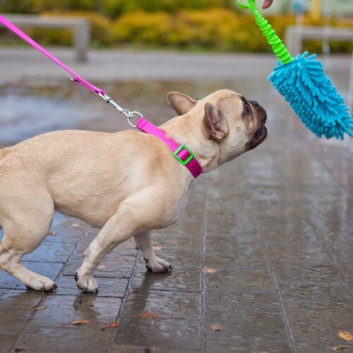 Product photo Energy Silver Extendable Leash, Pp Tape 8