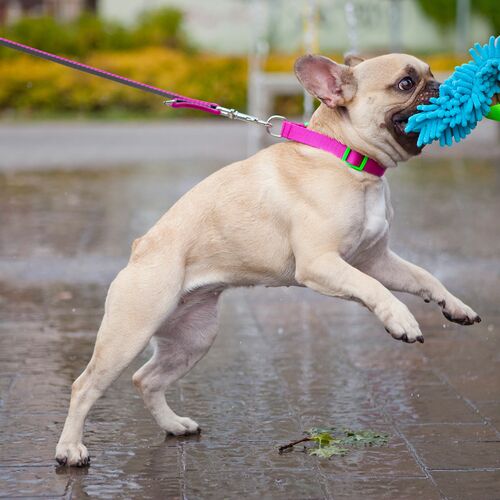 Zdjęcie produktu Smycz przepinana ENERGY Silver 7