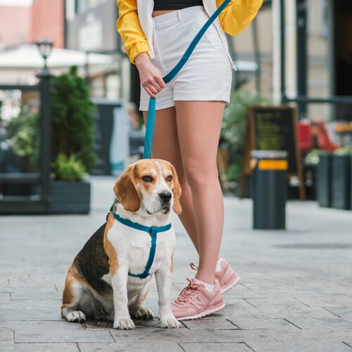 Product photo Twilight Silver Step-In Harness  'Fred' 8