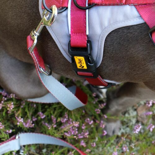 Product photo Twilight Silver Urban Leash, Pp Tape 10