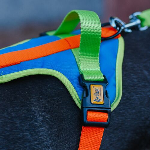 Product photo Active' No-Pressure Dog Harness 6