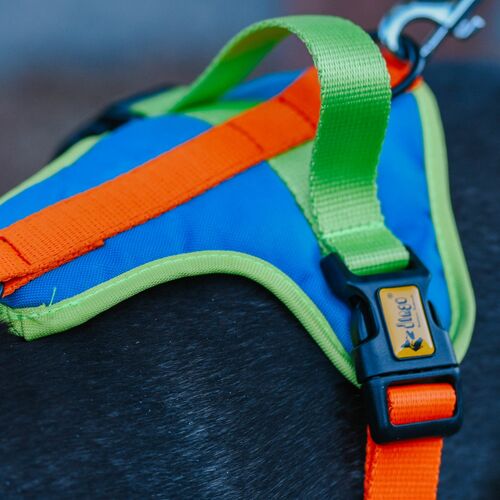 Product photo Active' No-Pressure Dog Harness 5