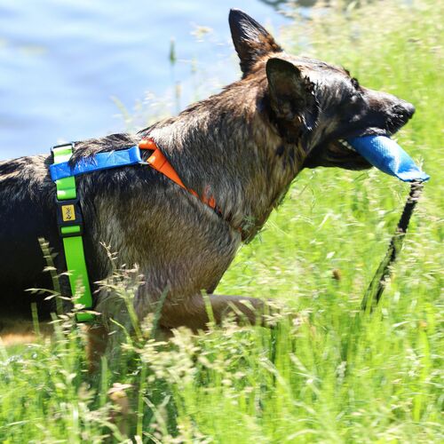 Product photo Active Guard Harness 4