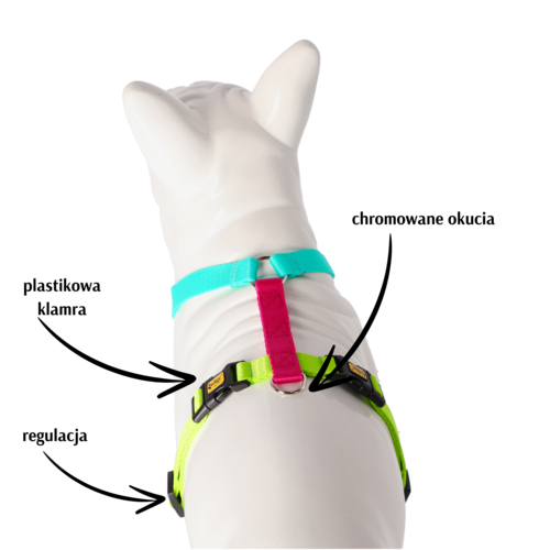 Zdjęcie produktu Szelki guard ACTIVE, 2 spinki 2