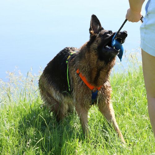 Product photo Active Guard Harness 8