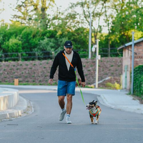 Product photo Active Extendable Leash, Pp Tape 7
