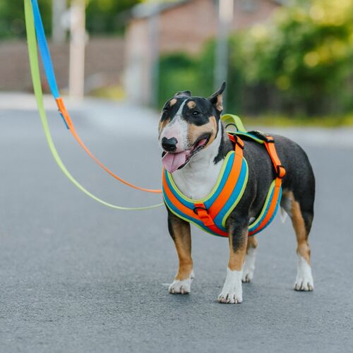 Product photo Active Extendable Leash, Pp Tape 10