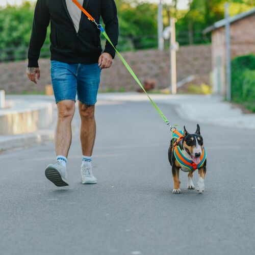 Zdjęcie produktu Smycz przepinana ACTIVE> 5