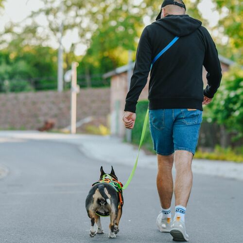 Product photo Active Extendable Leash, Pp Tape 5