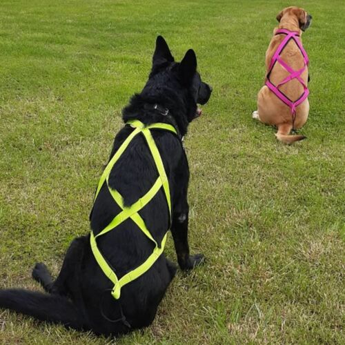 Product photo Sled Harness 5