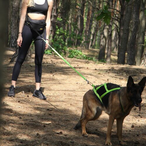 Product photo Sled Harness 9