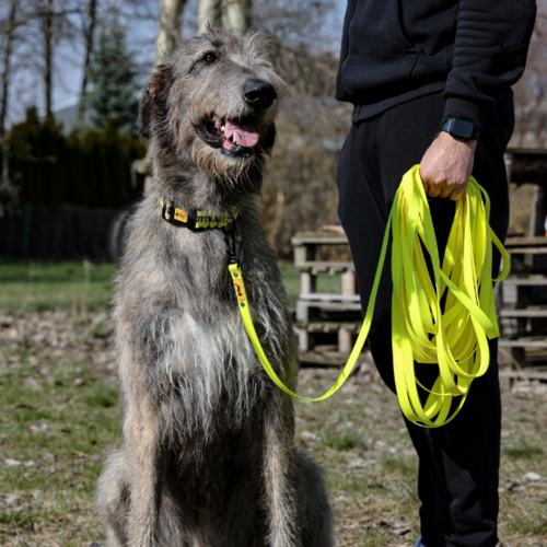 Product photo Honeycomb Dog Leash With Handle 7