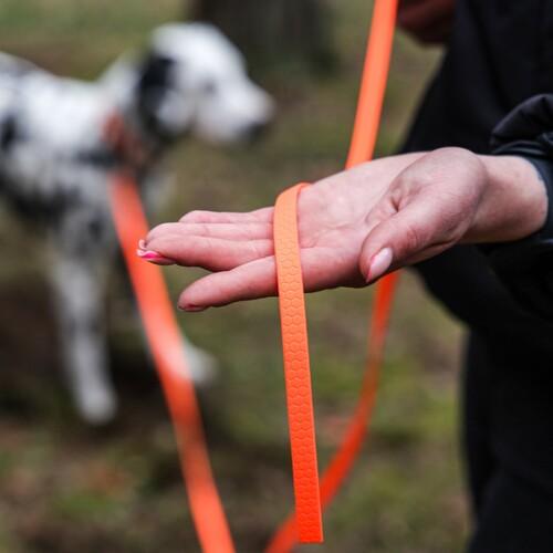 Product photo Flex Pvc Training Leash With Handle 7
