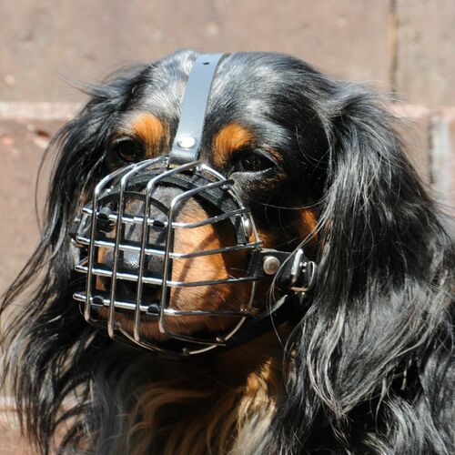 Product photo Metal Muzzle 4