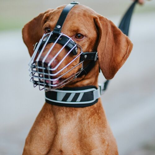Product photo Metal Muzzle 9