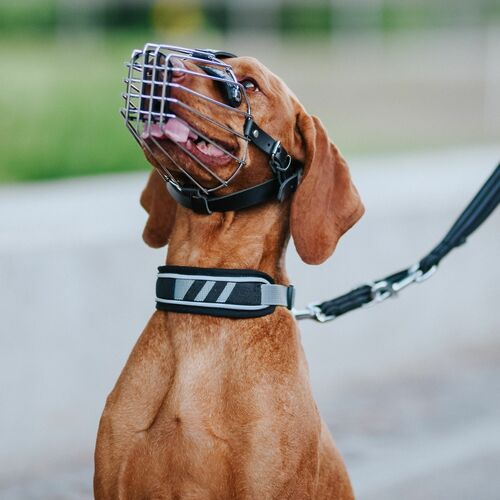 Product photo Metal Muzzle 12