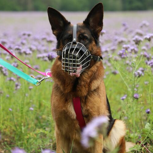 Product photo Metal Muzzle 12
