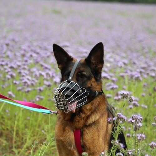 Product photo Metal Muzzle 14