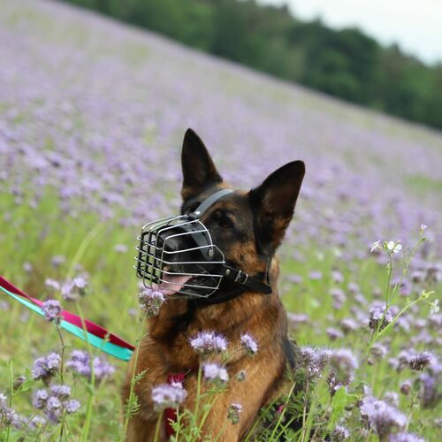 Product photo Metal Muzzle 15
