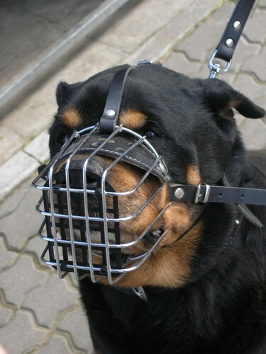 Product photo Metal Muzzle 6