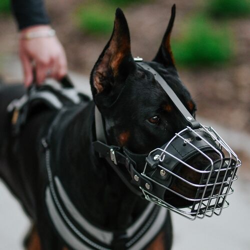 Product photo Metal Muzzle 10
