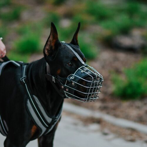 Product photo Metal Muzzle 6