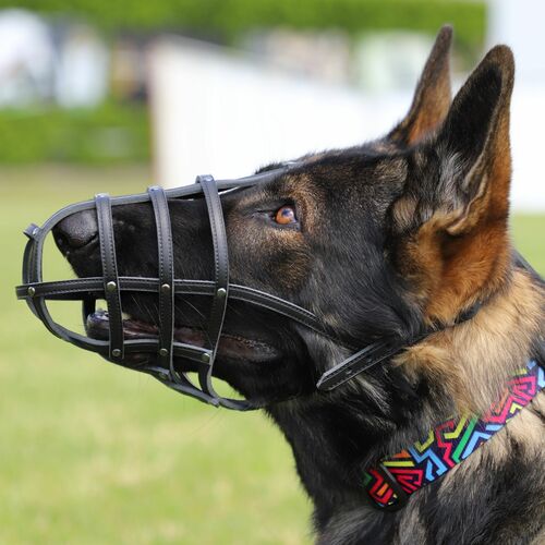 Product photo Leather Riveted Muzzle 11