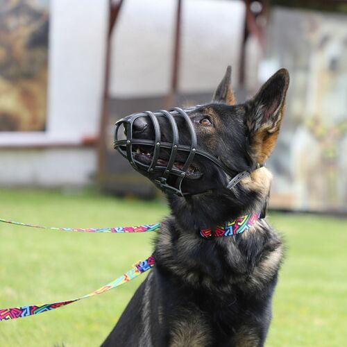 Product photo Leather Riveted Muzzle 8
