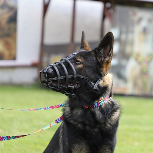 Product photo Leather Riveted Muzzle 12