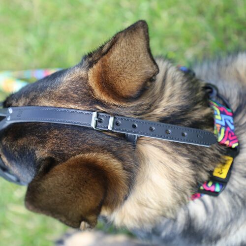 Product photo Leather Riveted Muzzle 16
