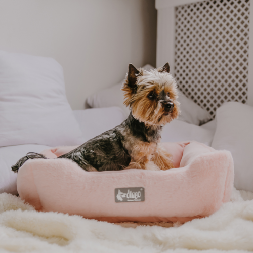 Product photo Hugme Pet Bed Rectangular 3