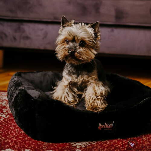 Product photo Hugme Pet Bed Rectangular 4