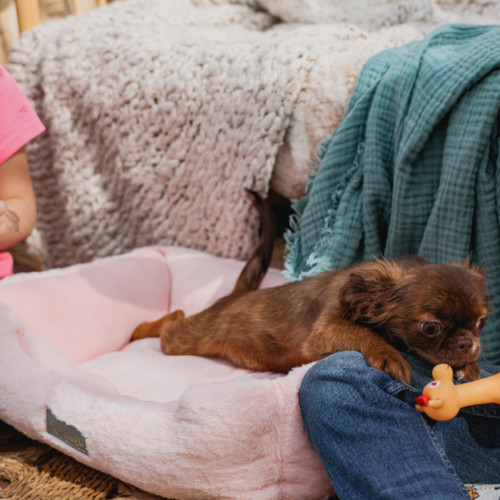 Product photo Hugme Pet Bed Rectangular 6