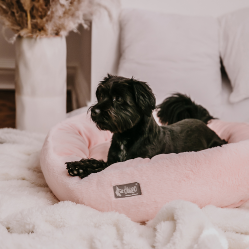 Product photo Hugme Pet Bed Oval 4