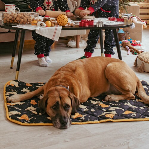Product photo Pet Bed - Flat Matt 2