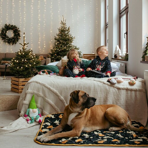Product photo Pet Bed - Flat Matt 3