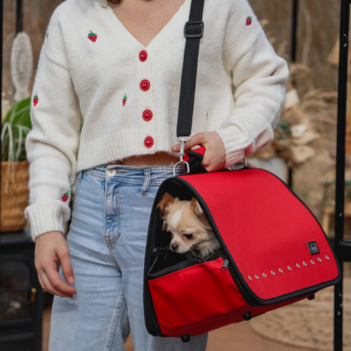 Product photo To Go' Transport Bag 4