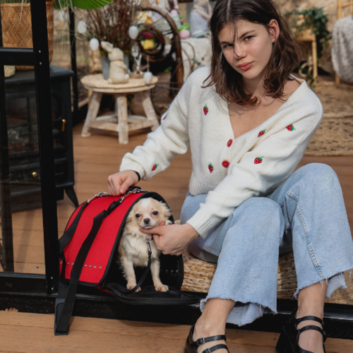 Zdjęcie produktu Torba transportowa To Go 3