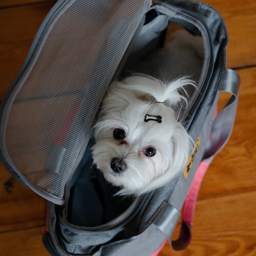 Product photo Transport Bag 9