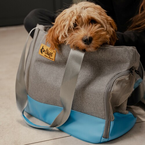 Product photo Transport Bag 8