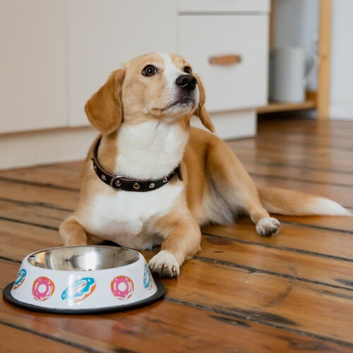 Product photo Bella Metal Bowl 4