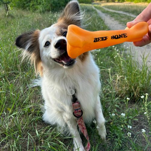 Product photo Bone Vinyl Dog Toy 16,5 Cm 4