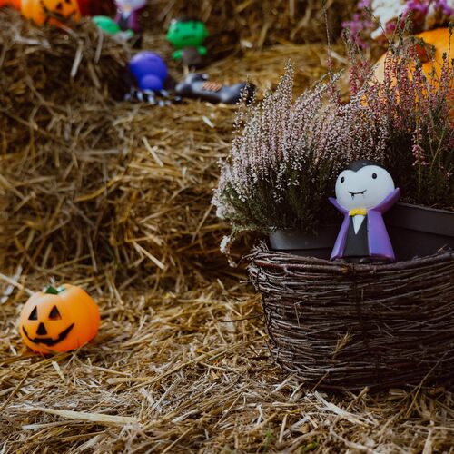 Product photo Dracula Dog Toy 10 Cm 2