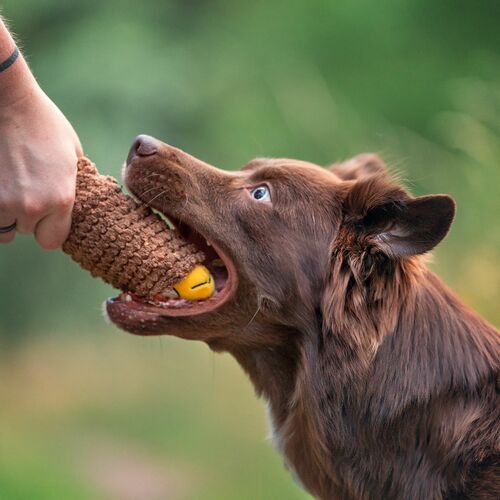 Product photo Taco Plush Dog Toy 20 Cm 4