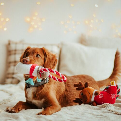 Product photo Dog Plush Toy - Snowman Shaped 18 Cm 4