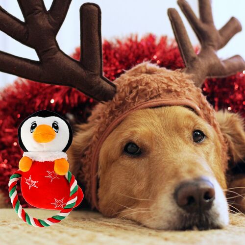 Zdjęcie produktu Zabawka pluszowa dla psa PINGWIN LARS ze sznurem 2