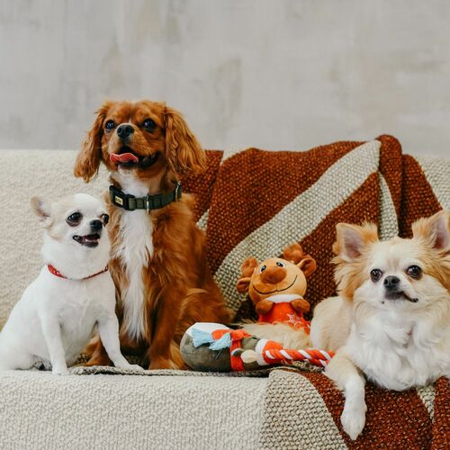 Product photo Reindeer Plush Dog Toy - Bjorn, 20 Cm 5