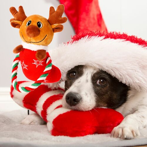 Product photo Reindeer Plush Dog Toy - Bjorn, 20 Cm 6