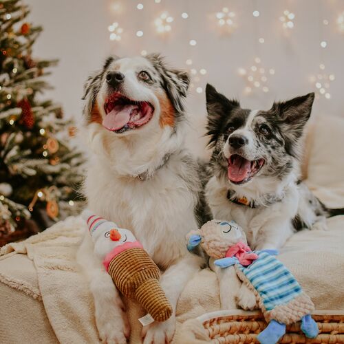 Product photo Ice Cone Plush Dog Toy - Buli, 28 Cm 8