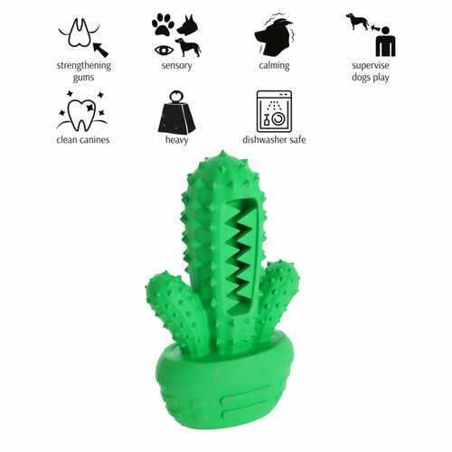 Product photo Hard Tpr Rubber Dog Toy - Cactus 2
